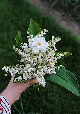 Лучшие фото за неделю о Чепецке из соцсетей